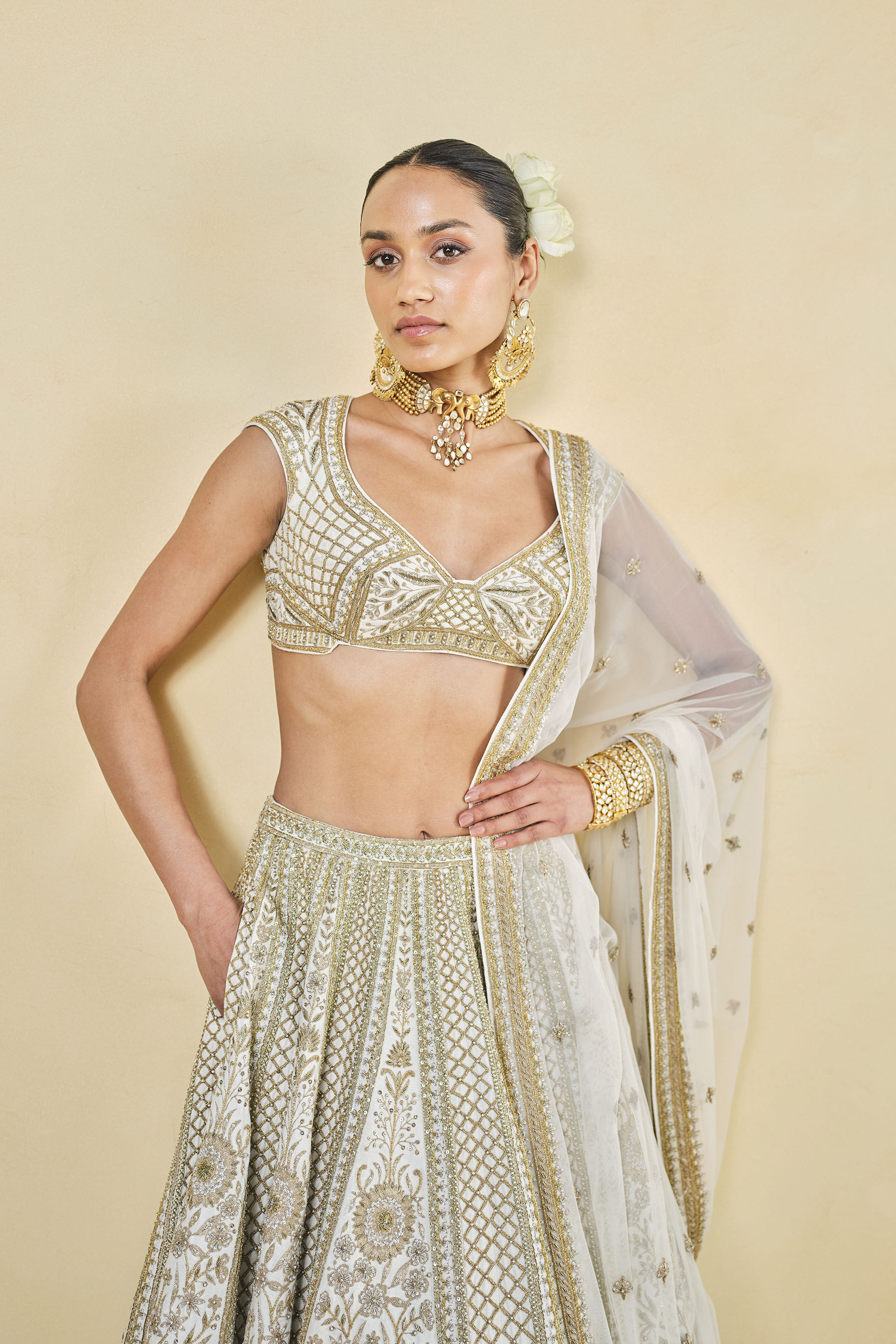 Mahroo Zardozi Embroidered Silk Lehenga Set - White, Ivory, image 9