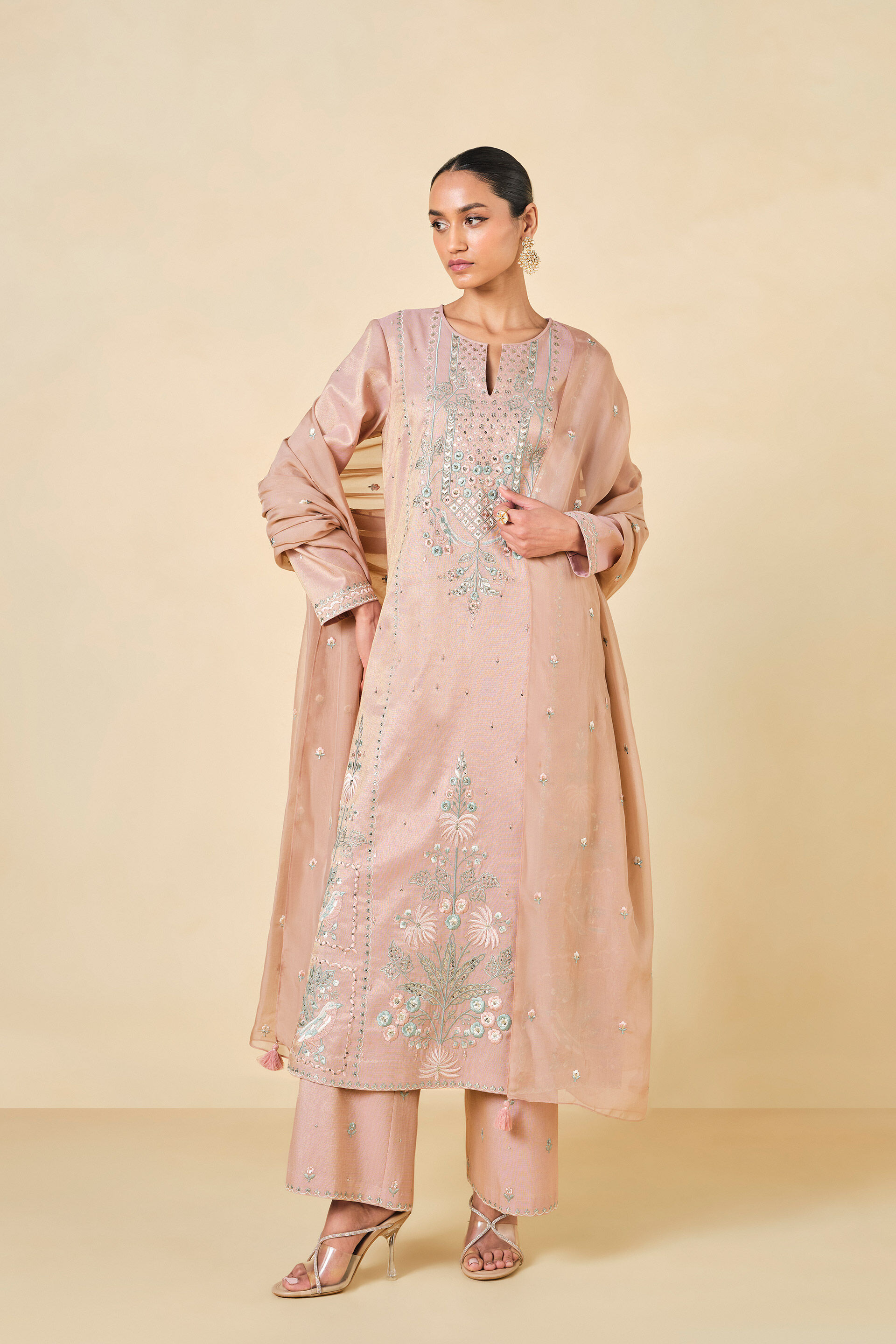 Ambudhi Embroidered Suit Set - Blush, Blush, image 1
