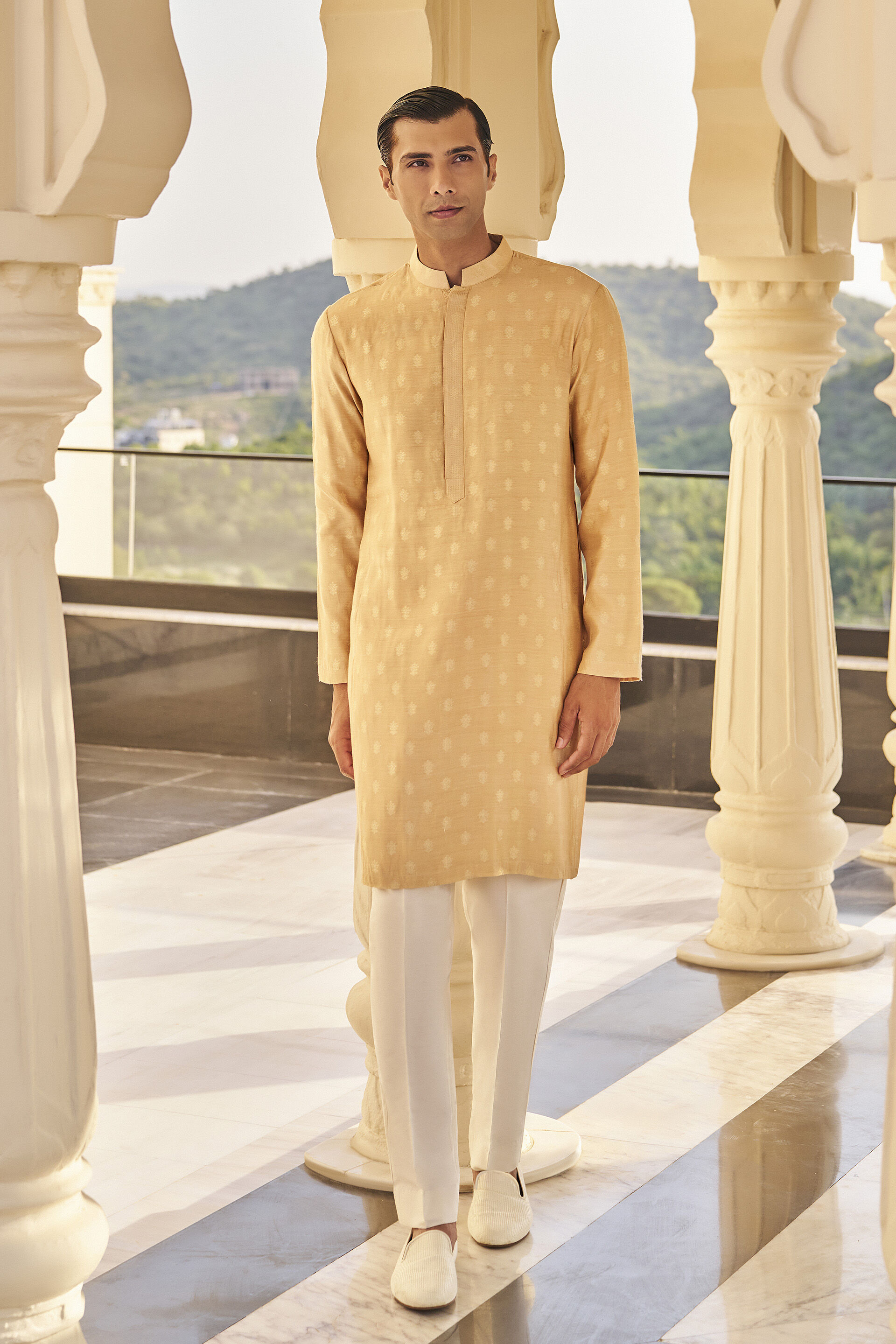 Dildar Kurta in Beige Benarasi, Beige, image 1