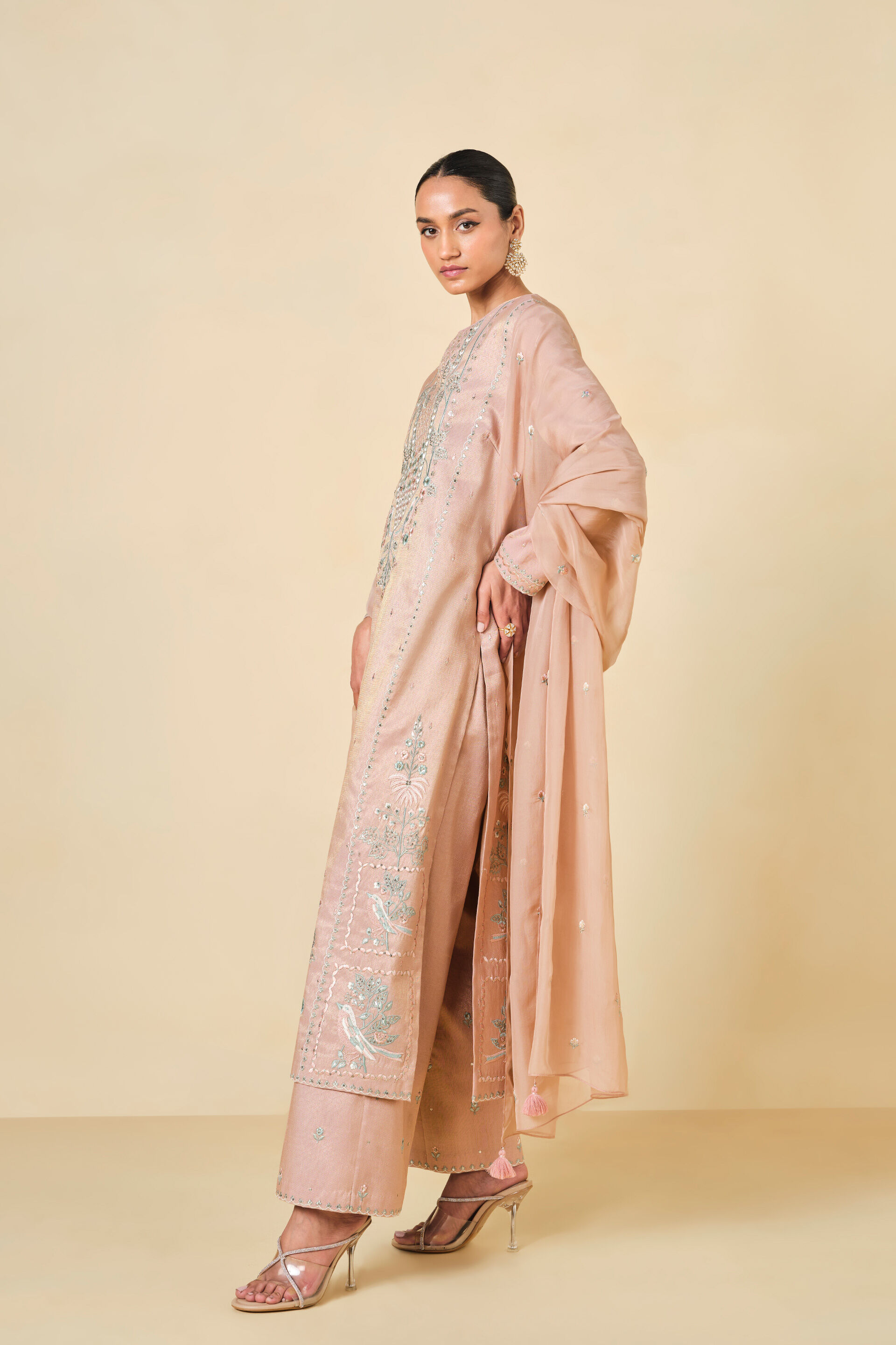 Ambudhi Embroidered Suit Set - Blush, Blush, image 2