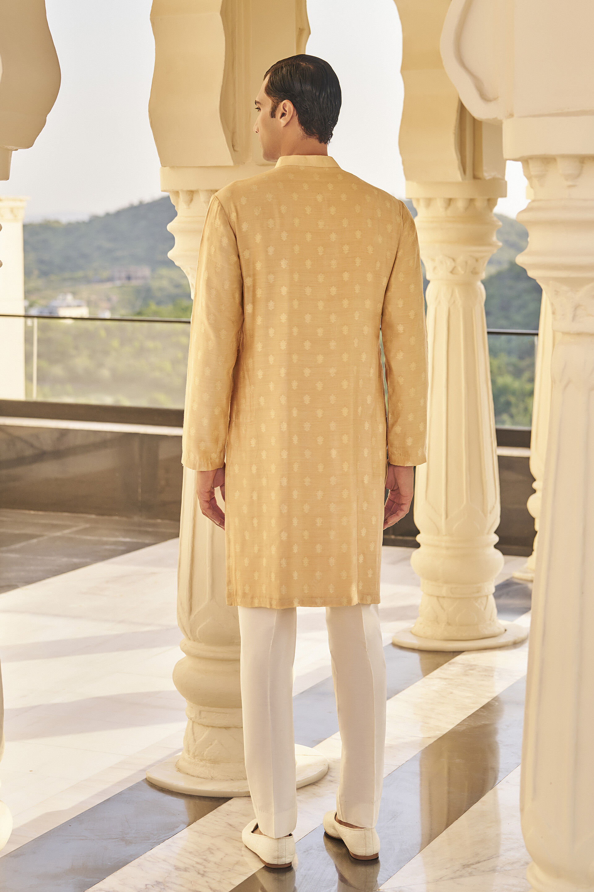 Dildar Kurta in Beige Benarasi, Beige, image 2