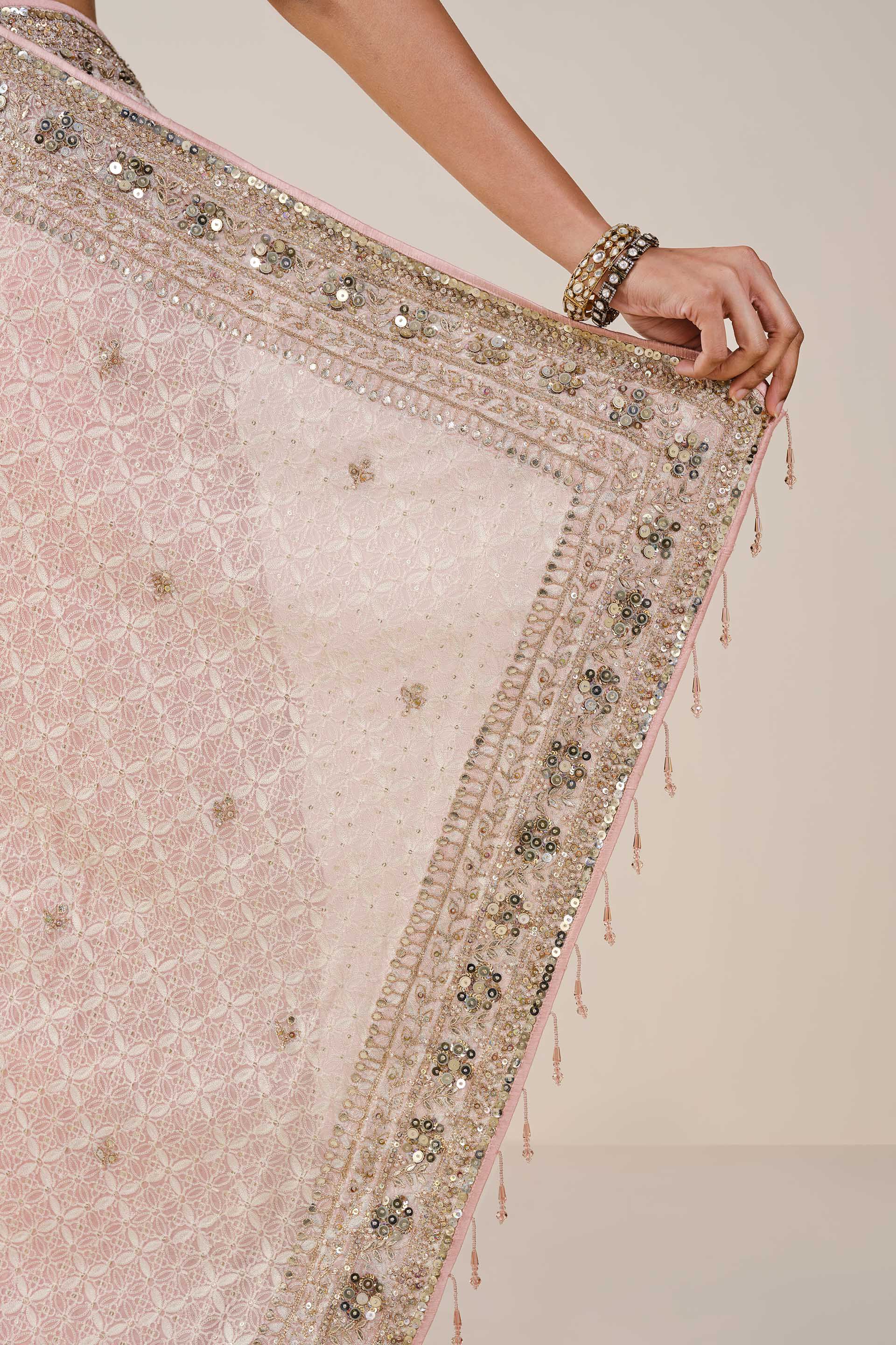 Aaloka Embroidered Georgette Saree, Blush, image 6