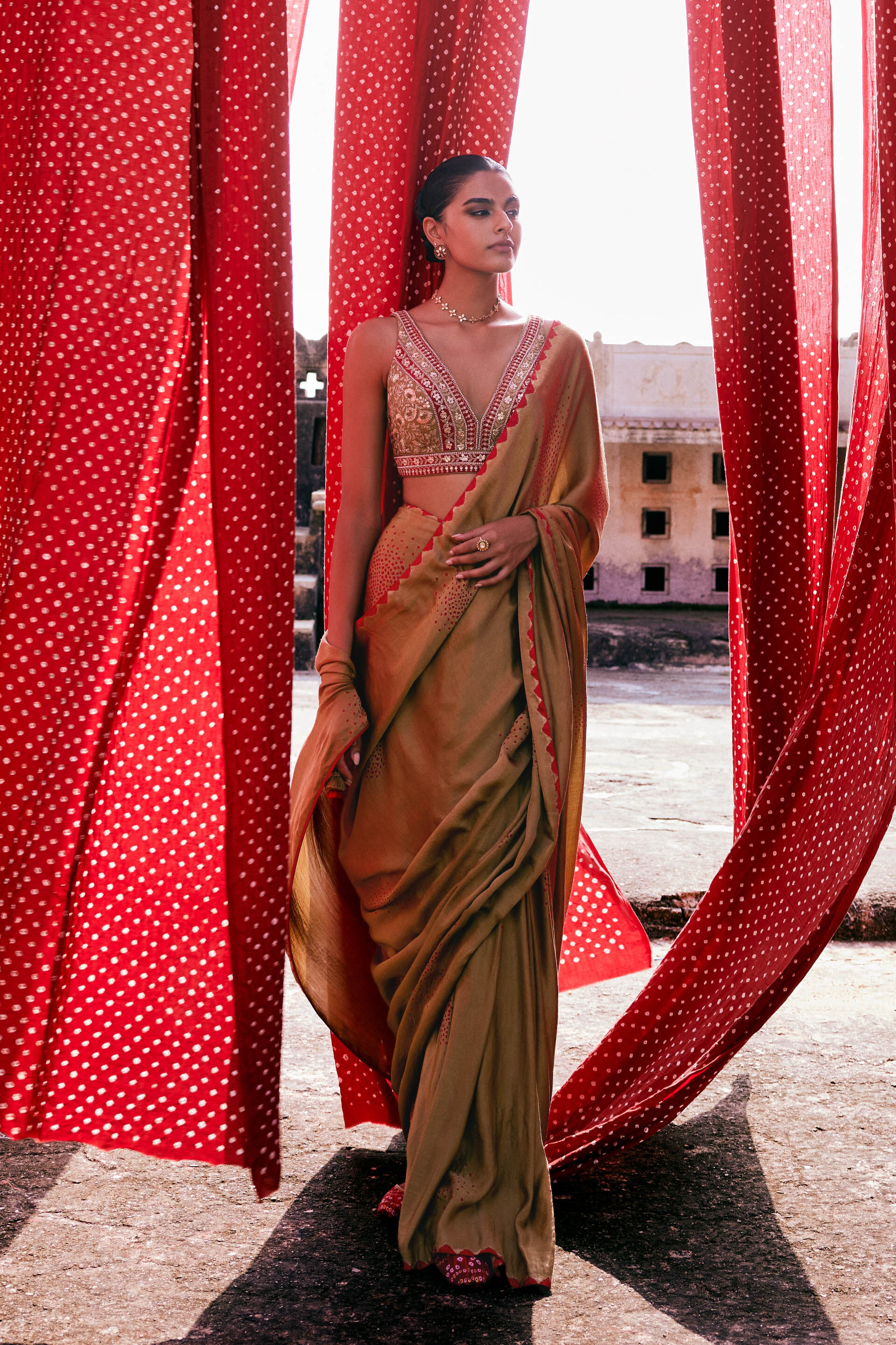 Designer saree brands clearance