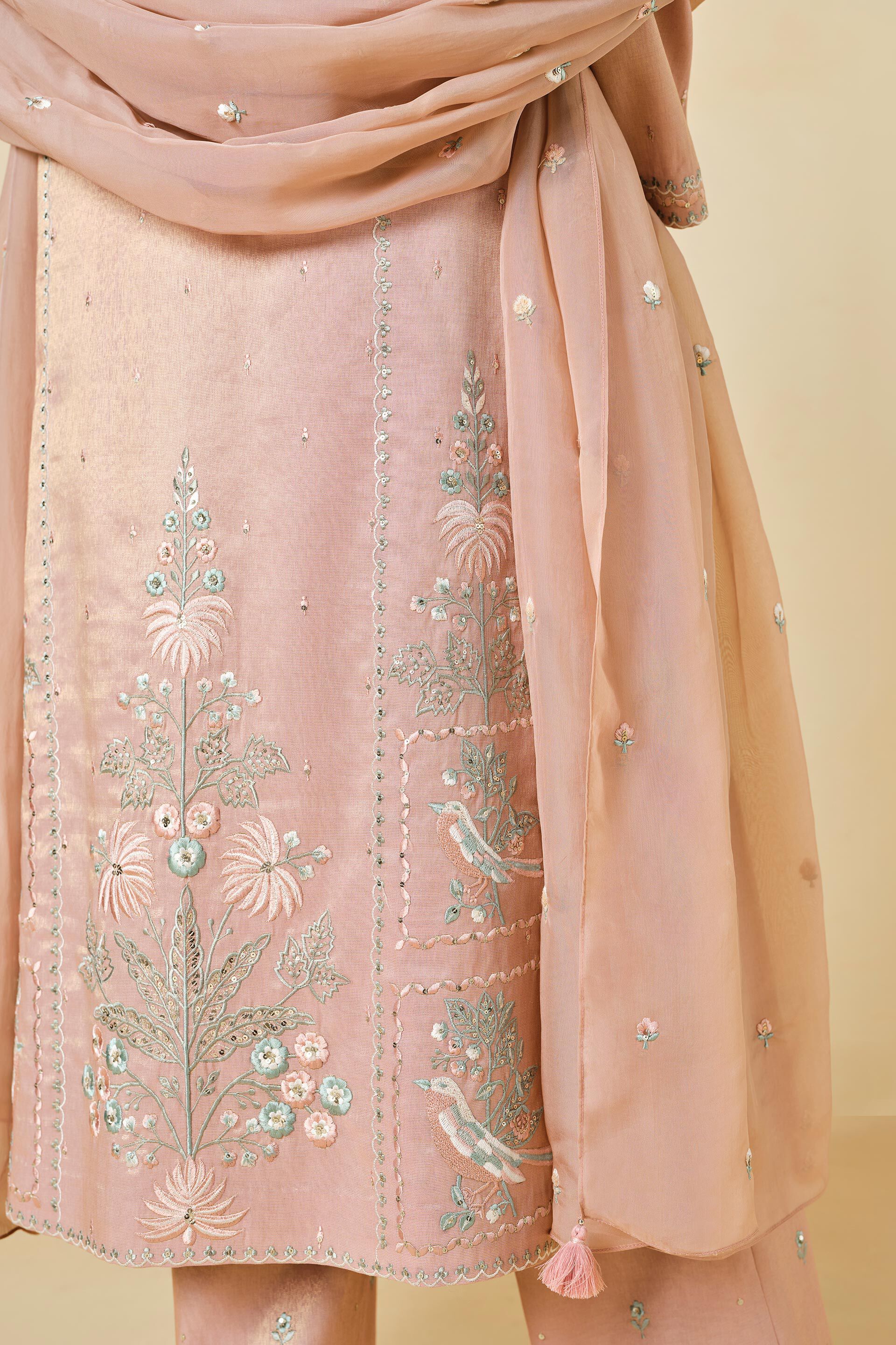 Ambudhi Embroidered Suit Set - Blush, Blush, image 6