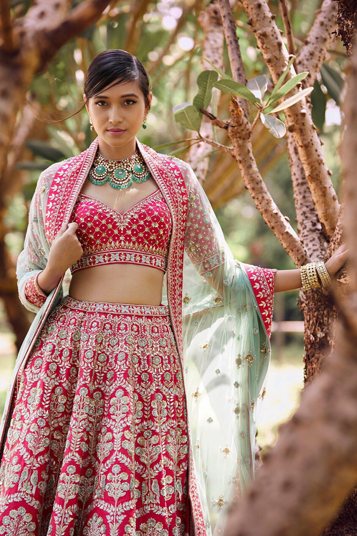 3 - Aabira Lehenga, image 3