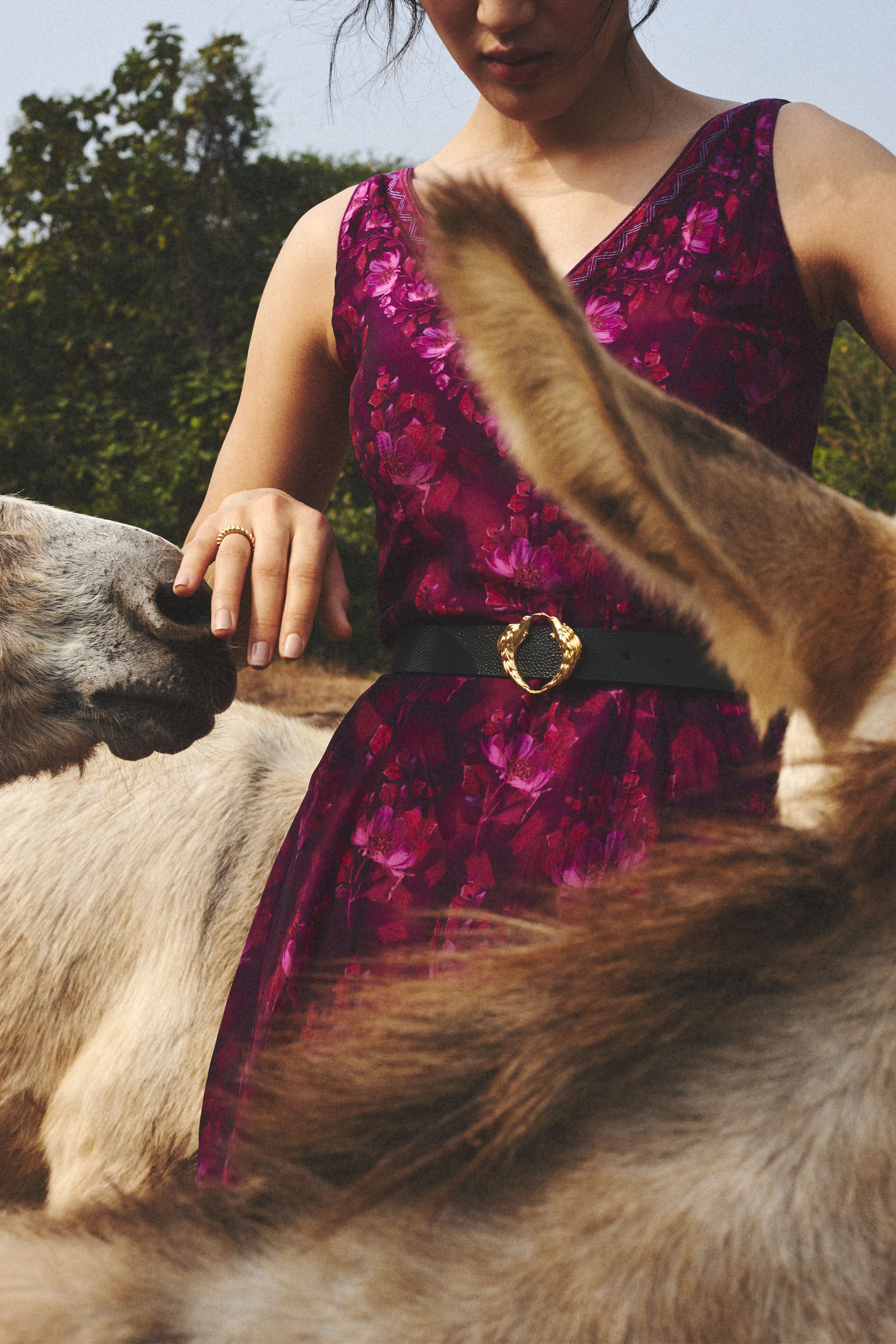 Birds of a Feather Belt - Nocturnal Black