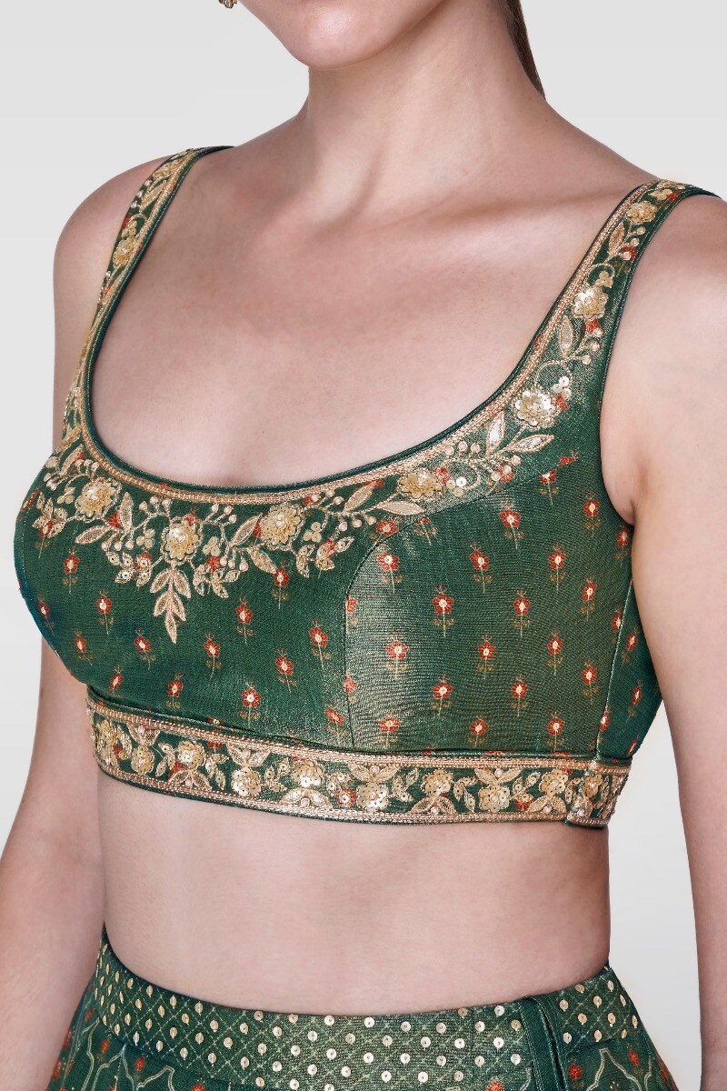 5 - Cynara Lehenga, image 4